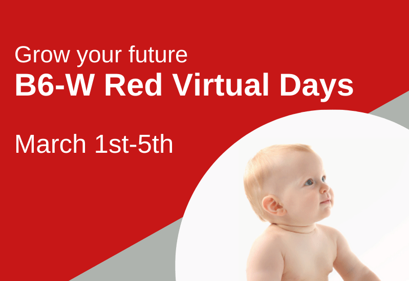 Grow your future with GDM: B6-W Red Virtual Days